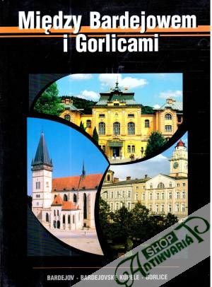 Miedzy Bardejowem i Gorlicami - Kolektív autorov