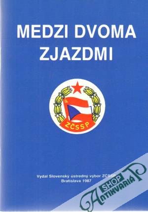 Medzi dvoma zjazdmi - Kolektív autorov