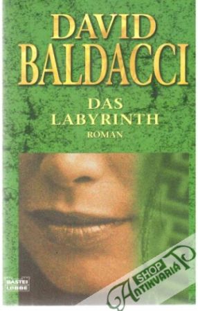 Das Labyrinth - Baldacci David