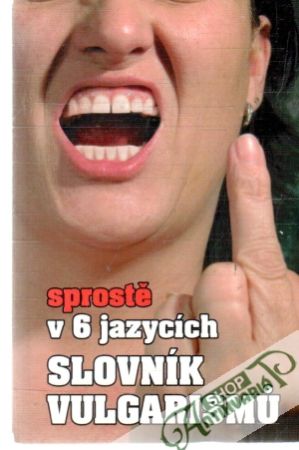 Slovník vulgarismu - sprostě v 6 jazycích - Bajger Kryštof a kolektiv