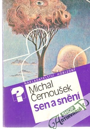 Sen a snění - Černoušek Michal
