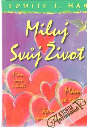 Miluj svuj život - Hay Louise L