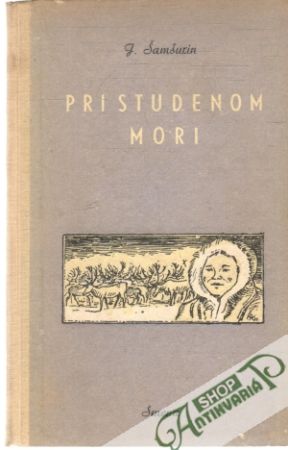 Pri studenom mori - Šamšurin J.