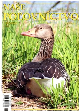 Naše poľovníctvo 6/2020 - Kolektív autorov