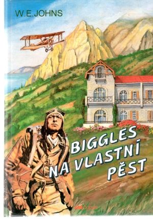 Biggles na vlastní pěst - Johns W. E.