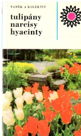 Tulipány, narcisy, hyacinty - Vaněk a kolektív