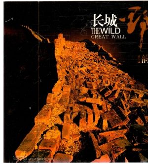The wild great wall - Kolektív autorov