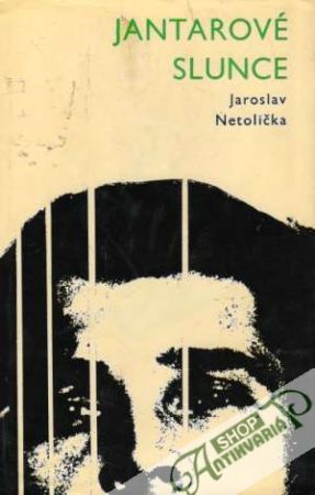 Jantarové slunce - Netolička Jaroslav