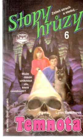 Stopy hruzy 6. - Temnota - Beachová Lynn