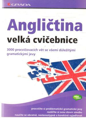 Angličtina - velká cvičebnice - Hoffmann