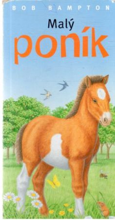 Malý poník - Bampton Bob