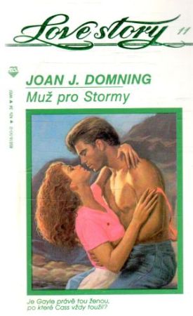 Muž pro Stormy - Domning Joan J.