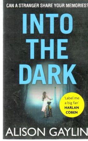 Into the dark - Gaylin Alison