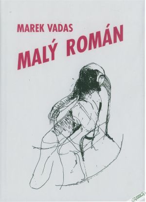 Malý román - Vadas Marek