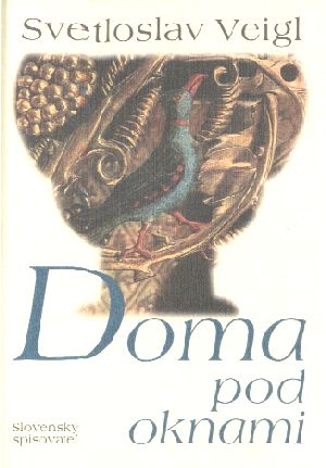 DOMA POD OKNAMI - Veigl Svetloslav