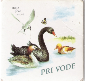 PRI VODE