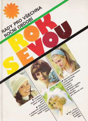 ROK S EVOU - Hamza J. a kol.