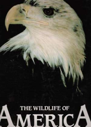 THE WILDLIFE OF AMERICA - Black D.