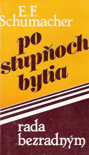 PO STUPŇOCH BYTIA - Schumacher E.F.