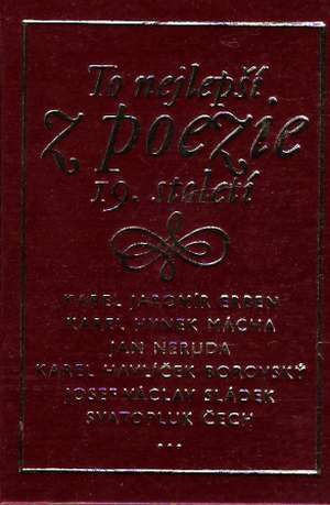 TO NEJLEPŠÍ Z POEZIE 19. STOLETÍ - Kolektív autorov