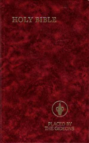 HOLY BIBLE - Kolektív autorov