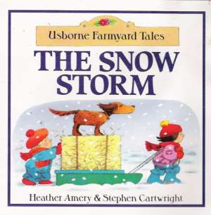 THE SNOW STORM - Amery Heather