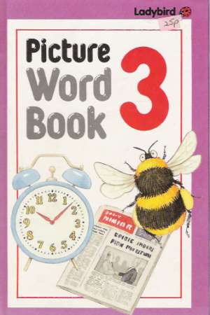 PICTURE WORD BOOK 3 - Kolektív autorov