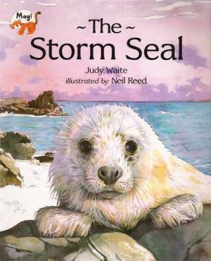 THE STORM SEAL - Waite Judy