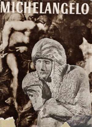 MICHELANGELO - Volavka V.