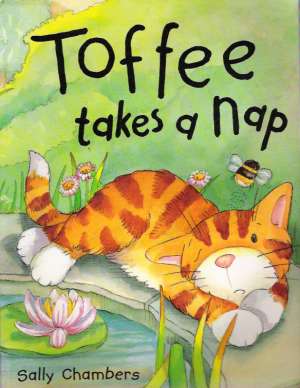 TOFFE TAKES A NAP - Chambers Sally