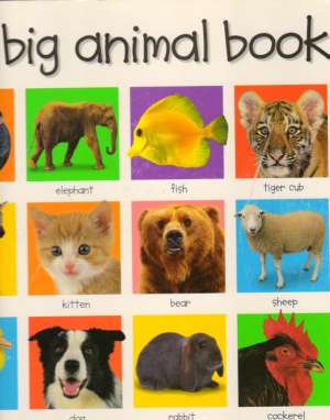 MY BIG ANIMAL BOOK - Kolektív autorov
