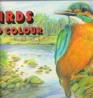 BIRDS TO COLOUR - Kolektív autorov