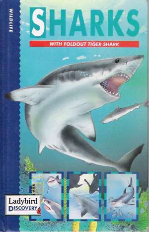 SHARKS - Oakley M.