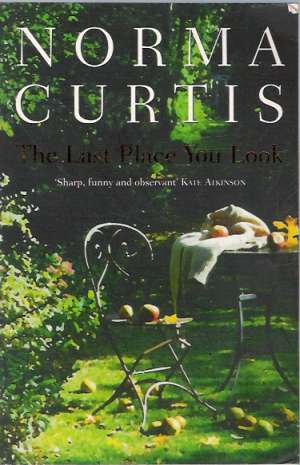 THE LAST PLACE YOU LOOK - Curtis N.