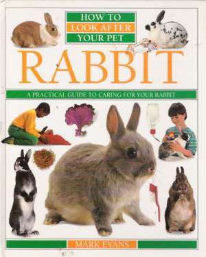 RABBIT - Evans M.