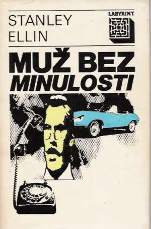 Muž bez minulosti - Ellin Stanley