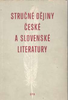 Stručné dějiny české a slovenské literatury - Balajka, Tichý