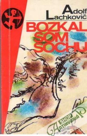 Bozkal som sochu - Lachkovič Adolf
