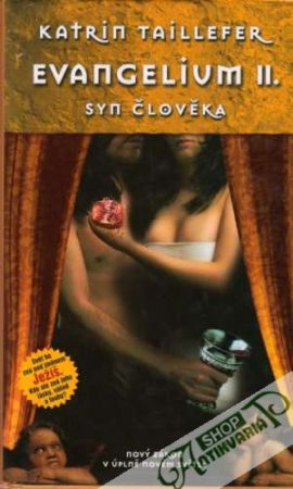 Evangelium II. - Syn člověka - Taillefer Katrin