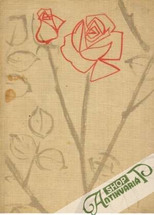 Die Rose - Márk Gergely